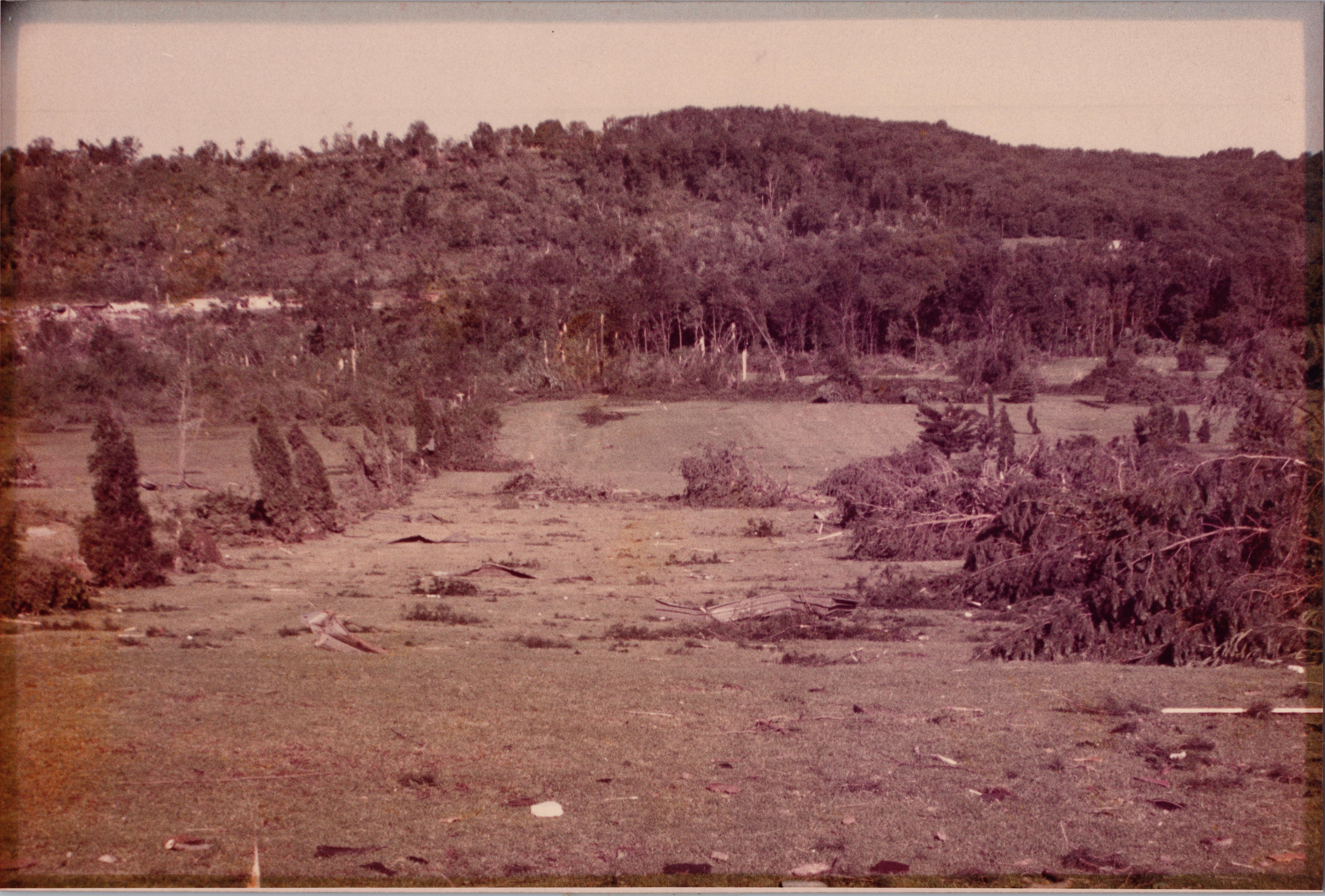 651h_04072025_1_2a6bc64806